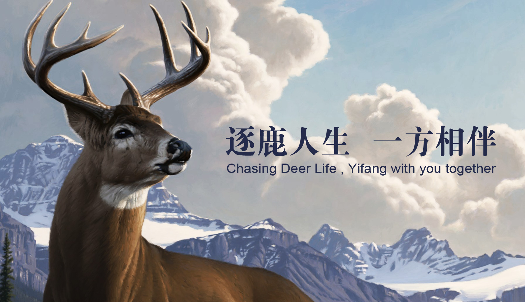 鹿血丹产品固体饮料包装策划设计,国药集团旗下鹿保健品包装策划设计,保健品包装设计公司,固体饮料包装设计公司,上海包装设计公司,食品包装设计公司