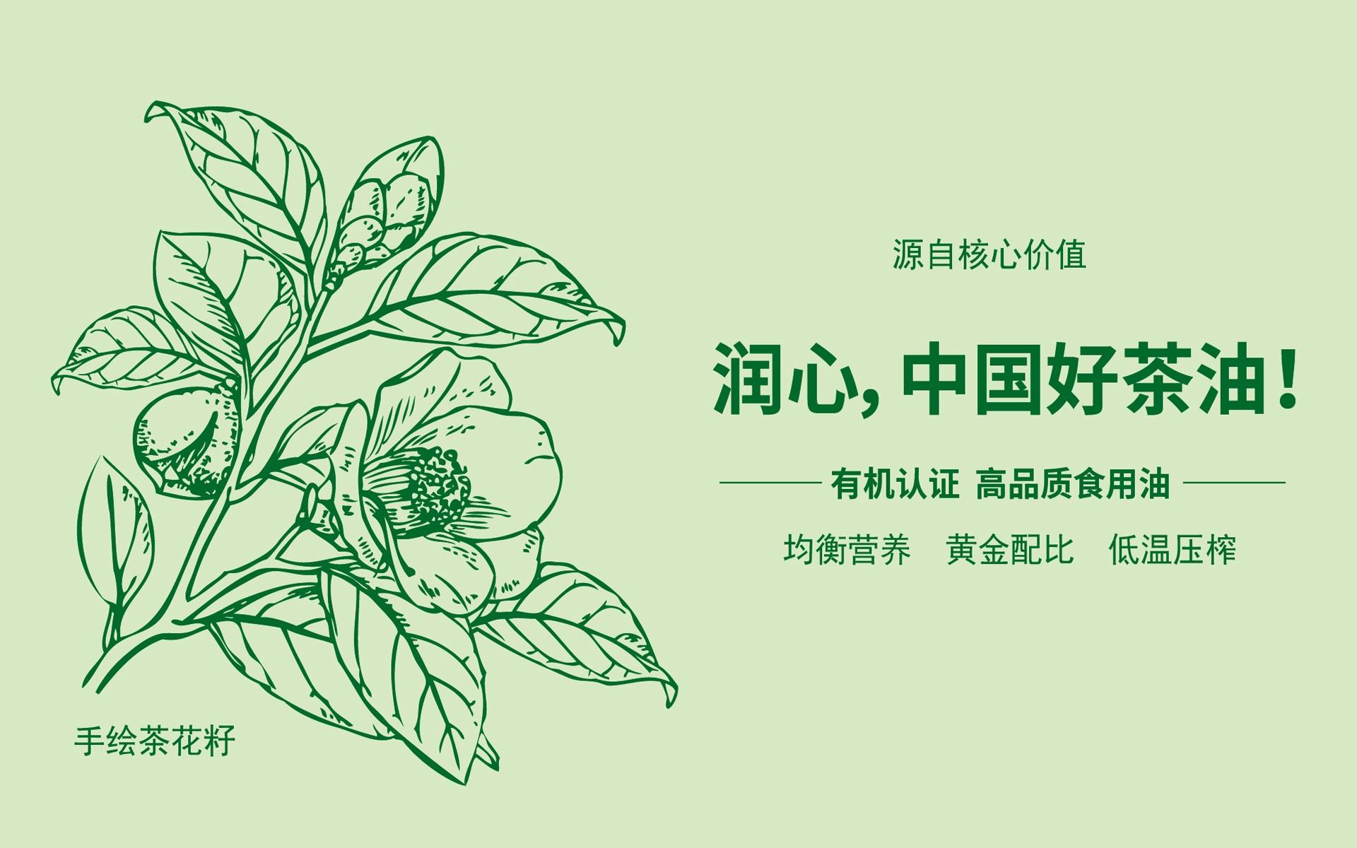 食用油包装设计,调和油包装设计,山茶油包装设计,橄榄油包装设计,玉米油包装设计,葵花籽油包装设计,食用油营销策划公司