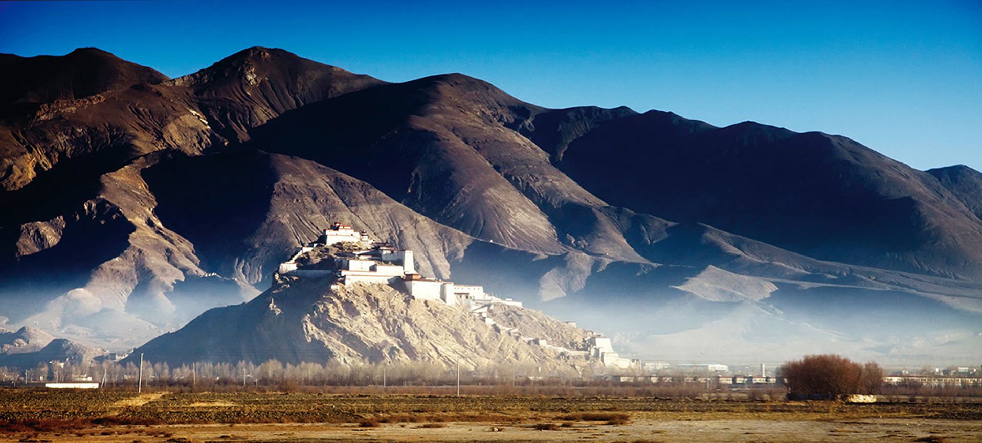 虫草包装设计公司，虫草营销策划