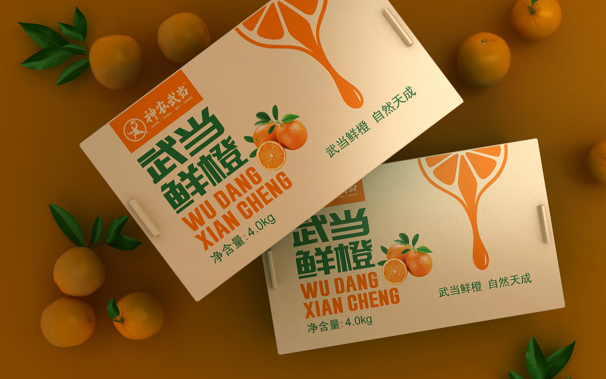 特产包装设计，水果包装设计，农产品包装设计，土特产包装设计，食品包装设计公司