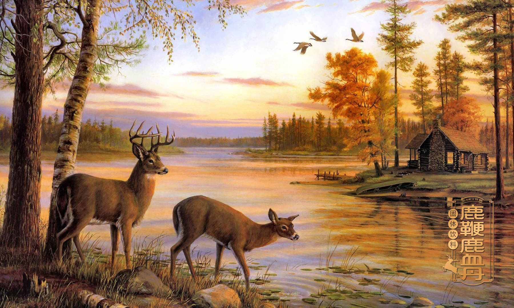 鹿保健品包装策划设计,鹿保健食品固体饮料包装设计,鹿保健饮品包装设计,鹿血丹包装设计,鹿三宝包装设计,鹿鞭保健品营销策划,鹿茸营养品包装设计,鹿皮胶包装设计,上海包装设计公司,食品包装设计公司