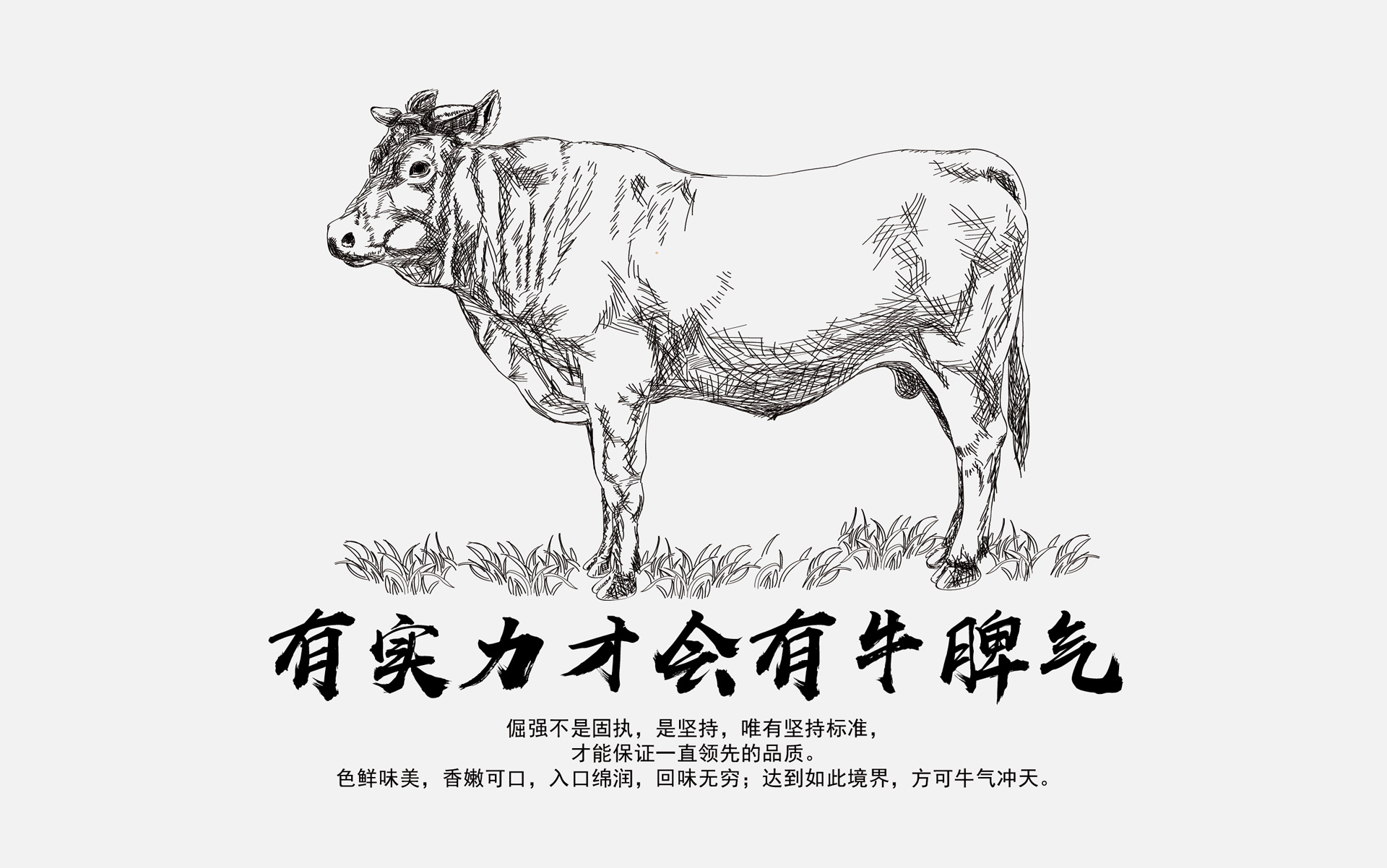 冷鲜肉品牌策划,冷鲜肉营销策划,冷鲜肉包装设计,牦牛肉营销策划,牦牛肉包装设计,牦牛肉包装设计公司,肥牛片营销策划,肥牛片包装设计,羔羊肉片营销策划,羔羊肉包装设计,冷鲜食品营销策划,冷鲜食品包装设计