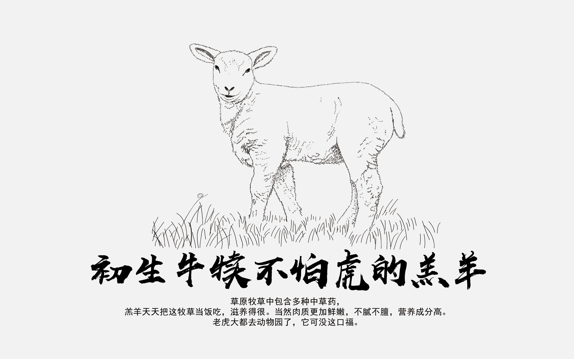 冷鲜肉品牌策划,冷鲜肉营销策划,冷鲜肉包装设计,牦牛肉营销策划,牦牛肉包装设计,牦牛肉包装设计公司,肥牛片营销策划,肥牛片包装设计,羔羊肉片营销策划,羔羊肉包装设计,冷鲜食品营销策划,冷鲜食品包装设计