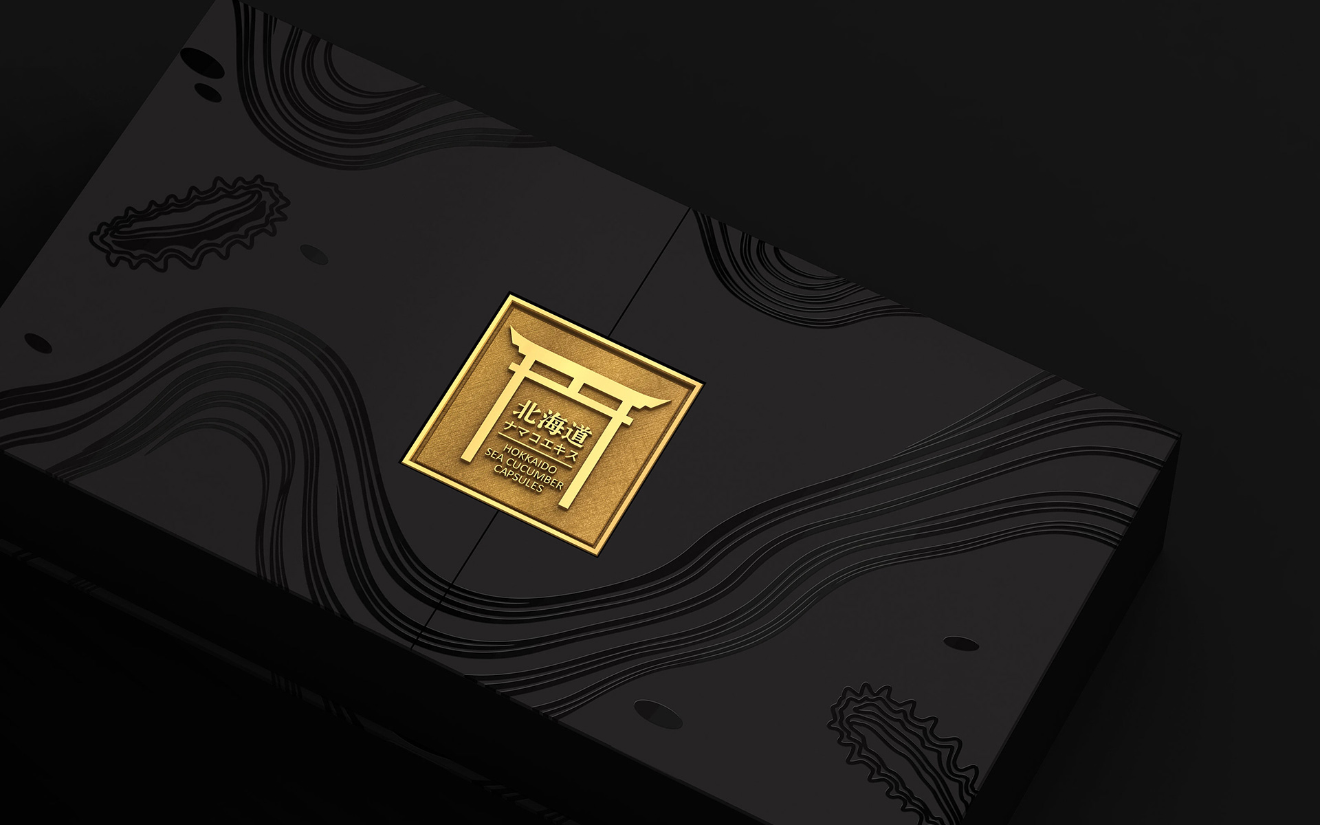 海参保健品营销策划，海参滋补品营销策划，辽参营销策划包装设计公司，保健食品品牌策划设计，高端营养品营销策划包装设计