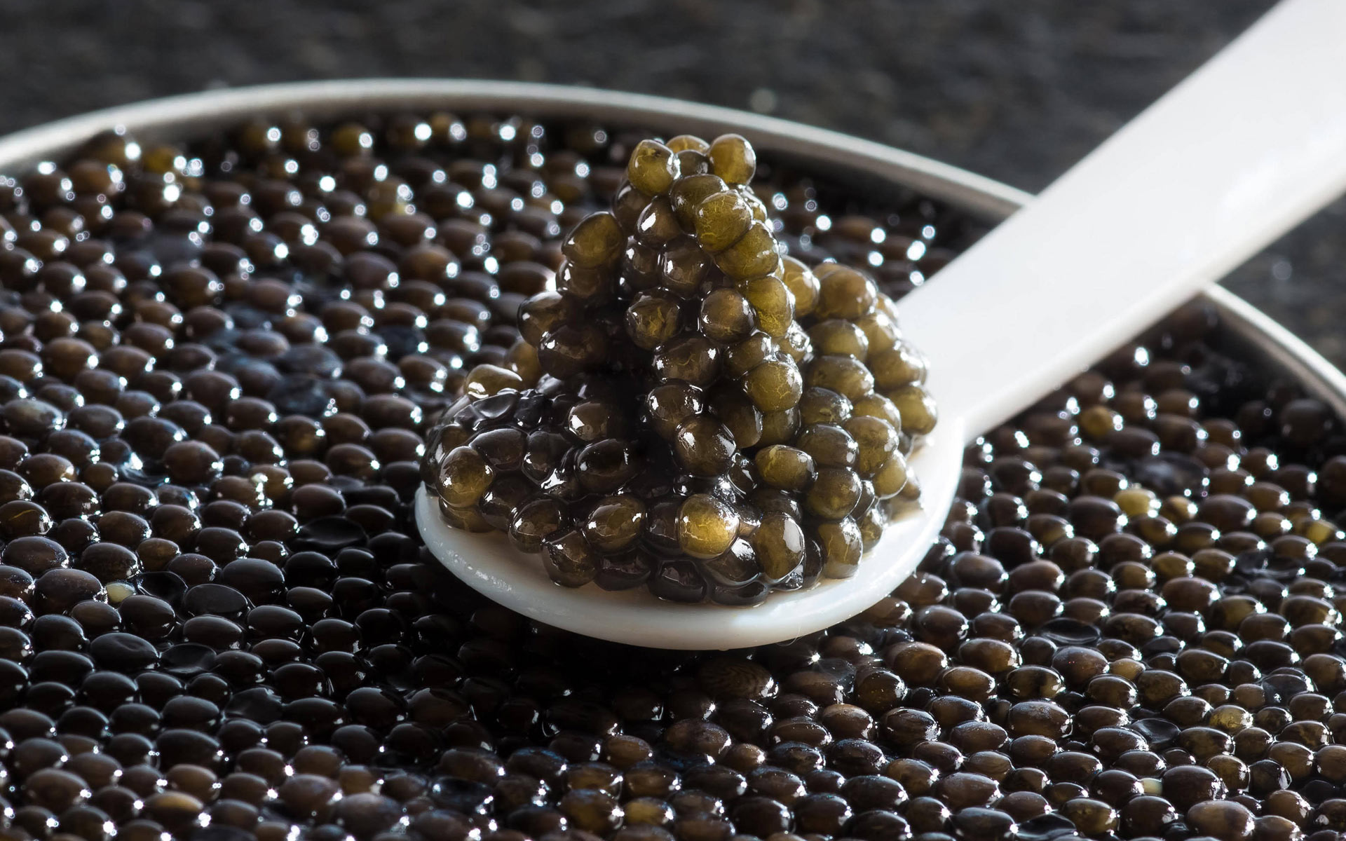 调味食品包装设计，进口鱼子酱包装设计，进口食品包装设计，调味品包装设计公司，进口食品包装设计公司，鱼子酱包装设计公司，XO酱包装设计，XO酱包装设计公司