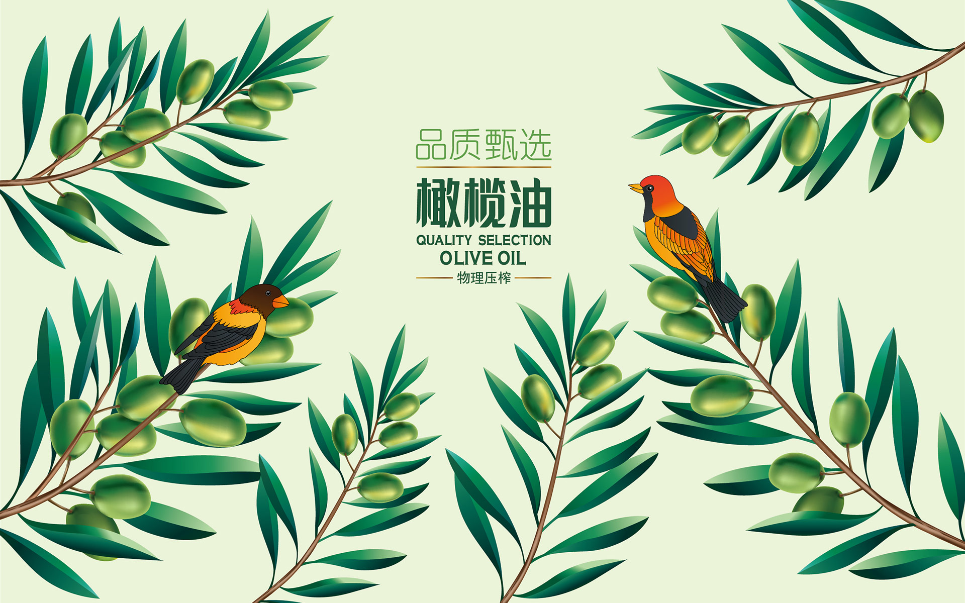 食用油包装设计公司，食用油包装设计，山茶油包装设计，橄榄油包装设计，山茶油包装设计公司，橄榄油包装设计公司，调和油包装设计，山茶油礼盒设计，橄榄油礼盒设计