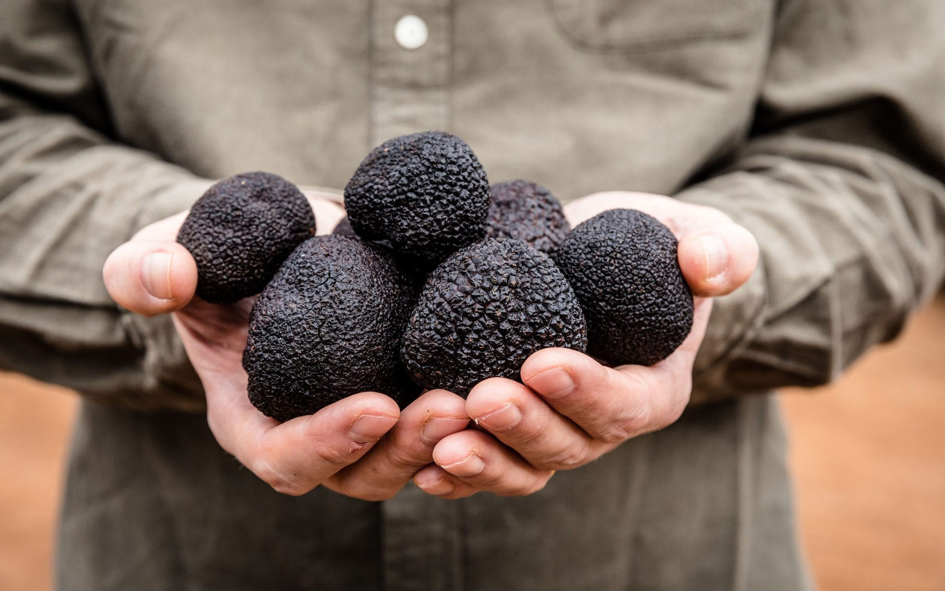 松露酱包装设计，松露酱包装设计公司，松露酱礼盒设计