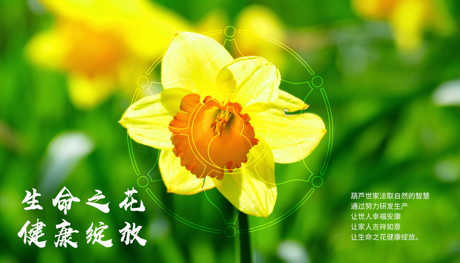 中国专业儿科制药领域领军企业之一葫芦娃药业集团企业形象全案设计